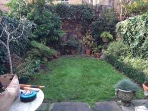 Small backyard garden with a patch of grass, potted plants, and dense exotic greenery along the walls; gardening tools and a bag are on a table in the foreground.