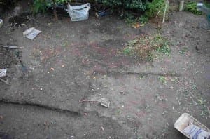 A garden in Acton with patches of bare soil, scattered tools, a pile of garden waste, and a white bag in the background.
