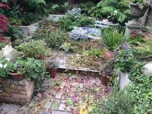 A small garden area with overgrown plants and fallen leaves awaits autumn maintenance, while potted flowers brighten the brick patio surrounded by raised beds and greenery.