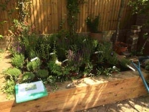 A raised wooden garden bed with various potted plants, shrubs, garden tools, and a folder with a planting plan on a sunny day.