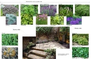 A garden planting plan for rejuvenating your space, showing plant types for sunny and shady sides. Includes labeled photos of each plant and central images of a paved garden area with raised beds.