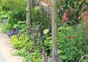 A garden bed next to a walkway features various flowering plants, green foliage, and shrubs, with tree trunks visible in the foreground.