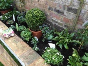 A small garden bed with various potted and planted green plants and flowers sits next to a brick wall, featuring raised beds and visible plant tags in the soil.