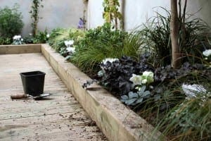 A trowel and empty black pot sit on a wooden deck beside a raised garden bed with various green plants and white flowers, featured in this new rendering.