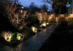 A front garden path at dusk is bordered by illuminated plants and trees, with soft ground lighting highlighting foliage and a wooden fence in the background.