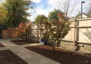 A front garden with two small trees with red leaves, bare soil, a stone path, a wooden fence, and a shed in the background.