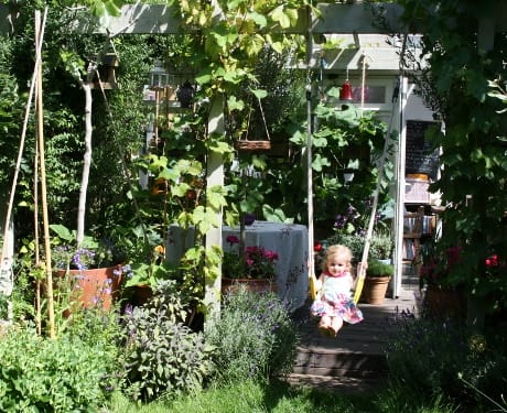 Living Colour’s Edible Family Garden – Summer 2011