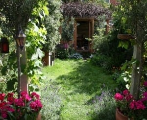A lush garden with flowering plants, edible greenery, and vibrant foliage leads to a small wooden shed at the back, framed by towering trees.
