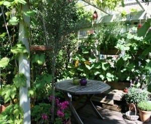 A small wooden table with two decorative cups is surrounded by lush green plants, edible flowers, and foliage in a sunlit garden corner.
