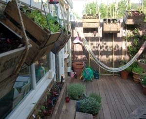 A wooden patio with potted edible plants, hanging planters, a hose, garden tools, and a striped hammock soaking in the sunlight.