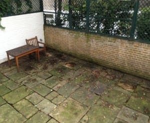 Existing-Garden-Clabon-Mews