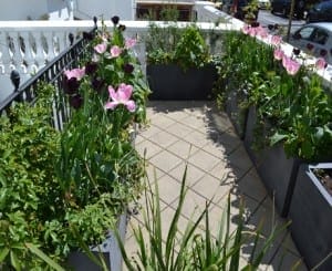 Kensington-Olympia-019