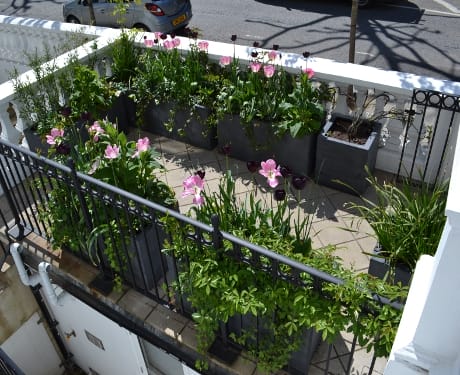 Container gardening
