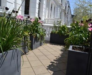 Kensington-Olympia-031