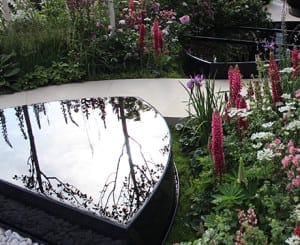 A modern garden features curved black reflective water features, pink and purple flowers—a gentle nod to Breast Cancer awareness—and lush green foliage along a light-colored stone path.