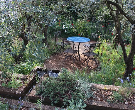 Chelsea show gardens