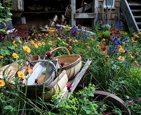 Chelsea show gardens