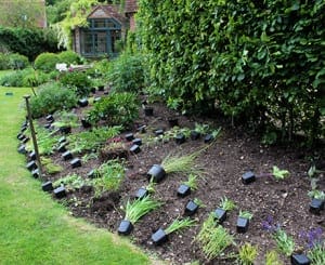 Newly planted garden bed with small plants in soil and empty black plastic pots scattered on the ground, nestled beside a lush lawn and near a hedge, evoking the natural charm of the Chilterns.