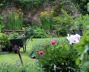 A garden scene in the Chilterns with blooming flowers, shrubs, a rusted shovel in the grass, and two wheelbarrows filled with cut branches and garden waste.