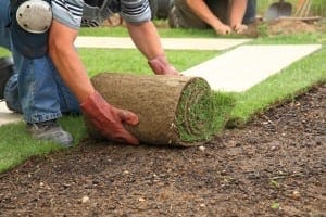 A person wearing gloves and knee pads is gardening, carefully laying a roll of sod onto bare soil in a yard, while another person works in the background.
