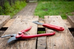 tips-on-gardening-services-in-london-cleaning-and-maintenance-3