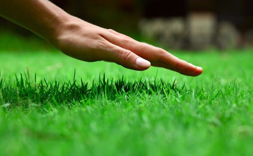 A hand with pale skin and short nails hovers just above bright green grass outdoors, gently touching the tips—a quiet moment of connection inspired by gardening.