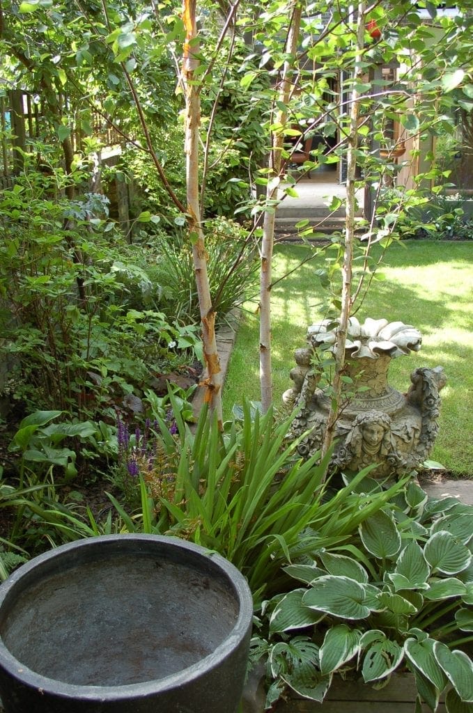 garden-of-rooms_pot-and-birch