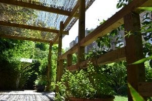 Wooden pergola with overhead beams and a slatted roof supporting vertical gardening, casting shadows on a sunlit wooden deck in a lush garden setting.
