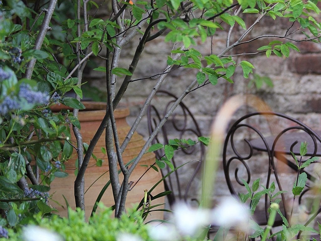 garden-maintenance-364