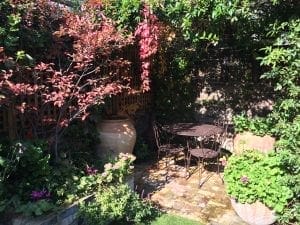 A small patio with a round metal table and two chairs is surrounded by leafy plants, flowers, large clay pots, and the best trees for small gardens in a sunlit corner.