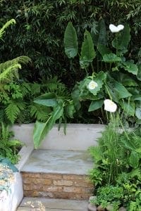 A small concrete and brick garden step surrounded by lush green plants, ferns, tall white calla lilies, and nearby garden benches for relaxing amidst nature.