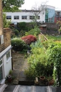 View of a backyard garden with lush greenery, cottage style planting, a stone path, potted plants, a red-leaved shrub, and a modern building visible in the background.