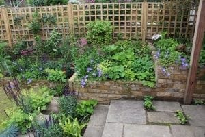 Raised brick flower bed filled with cottage style planting—lush green plants and purple flowers—bordered by a stone patio and wooden trellis fence in a garden.