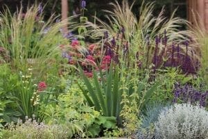 A diverse garden bed with ornamental grasses, purple and pink flowers, green foliage, and various plants in bloom creates a charming cottage style planting.