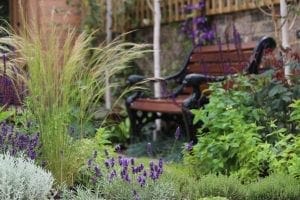 A wooden park bench sits in a lush garden surrounded by cottage style planting, with green plants, purple flowers, and tall grass in the foreground.