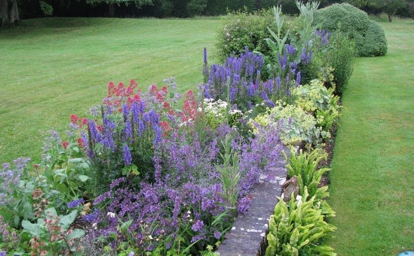 Top 10 plants for cottage style borders