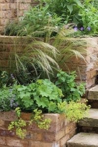 A brick garden terrace with various green plants and grasses, including charming cottage garden plants, growing in raised beds along stone steps.