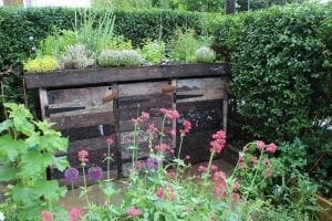 A wooden compost bin, resembling stylish storage units, features a green roof planted with herbs and is surrounded by flowering plants and a trimmed hedge in a charming garden.