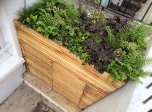 A rectangular wooden planter box filled with green and purple leafy plants sits against a white wall in a small outdoor space, providing a fresh contrast to nearby storage units.
