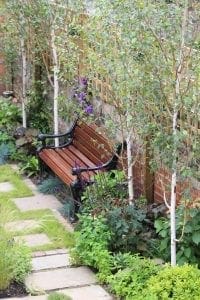 A wooden garden bench with black metal arms sits among leafy plants and small trees, beside a brick wall—an inviting spot to consider top 10 screening options or reflect on your latest health screening, next to a stone-paved path.