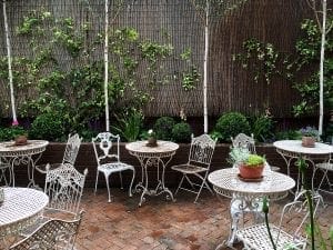Outdoor patio with metal tables and chairs, brick flooring, potted plants on tables, and green vines growing along a bamboo fence—a relaxing spot to discuss top 10 screening options or learn more about recommended screening tests.