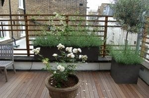 A wooden rooftop deck with potted white flowers and greenery, a wooden chair, and a lattice fence offers charming screening options, all set amid surrounding brick buildings.