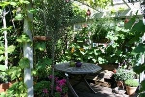 A small wooden table and bench sit surrounded by lush green plants and flowers in a sunlit garden patio—perfect for small spaces with smart designs in mind.