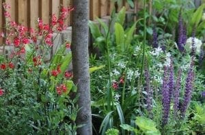 A garden featuring top planting combinations of red, purple, and white flowering plants, lush green foliage, and a tree trunk in the foreground set beside a wooden fence.