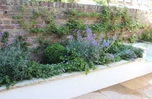 A raised garden bed against a brick wall features green foliage and purple flowering plants, showcasing smart planting combinations. Stone paving completes this inspiring look for gardening tips.