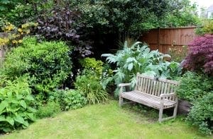 A wooden bench sits on a grassy lawn, surrounded by green shrubs, flowering plants, and a wooden fence—a perfect spot to admire top planting combinations or gather gardening tips in this charming garden setting.