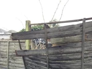 A broken wooden fence with several loose and misaligned planks, with some branches and trees visible in the background.
