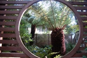 View of a garden with ferns and greenery through a large circular opening in a wooden fence or screen.