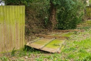 Several wooden fence panels have fallen over onto the grass in a garden area, with trees and greenery in the background.