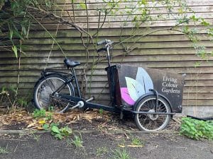 A black cargo tricycle with "Living Colour Gardens" and a leaf design on its box is parked on a path next to a wooden wall, surrounded by plants and fallen leaves.